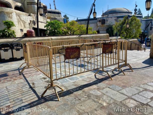 , Disneyland Update – Spring Fling and Virus Things
