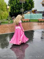 , Disneyland Update – Red, White and Blue & Reopenings Too