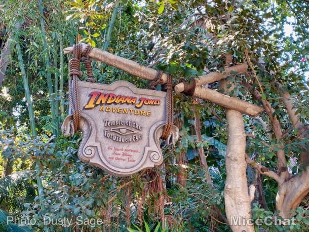 , Disneyland Update – Spring Fling and Virus Things