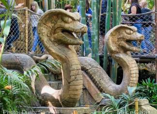 The Sweep Spot # 310 Disneyland’s Adventureland