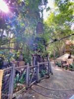Disneyland-news-adventureland-indy-tower