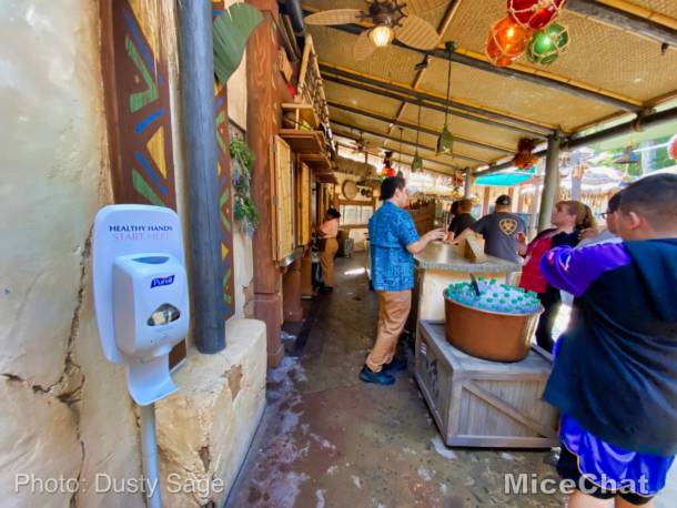 , Disneyland Update – Spring Fling and Virus Things