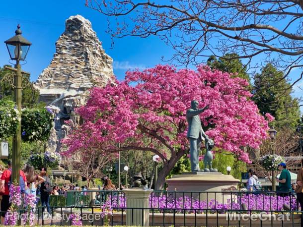 , The Aftermath – ALL Disney Parks Closed