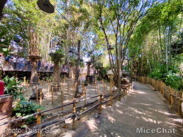 , Disneyland Update – Spring Fling and Virus Things