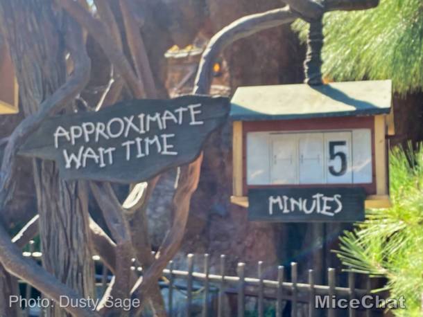 , Disneyland Update &#8211; Spring Fling and Virus Things