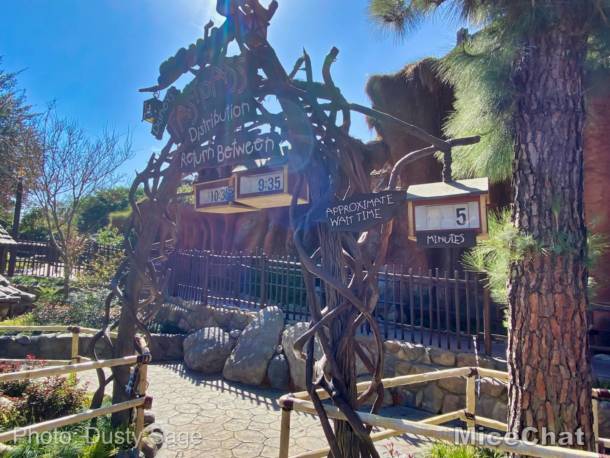 , Disneyland Update – Spring Fling and Virus Things