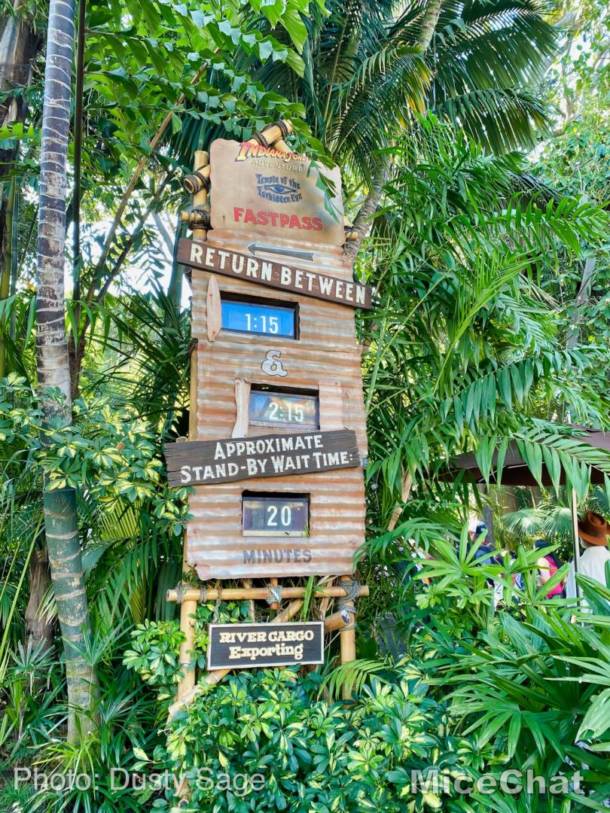 , Disneyland Update – Spring Fling and Virus Things