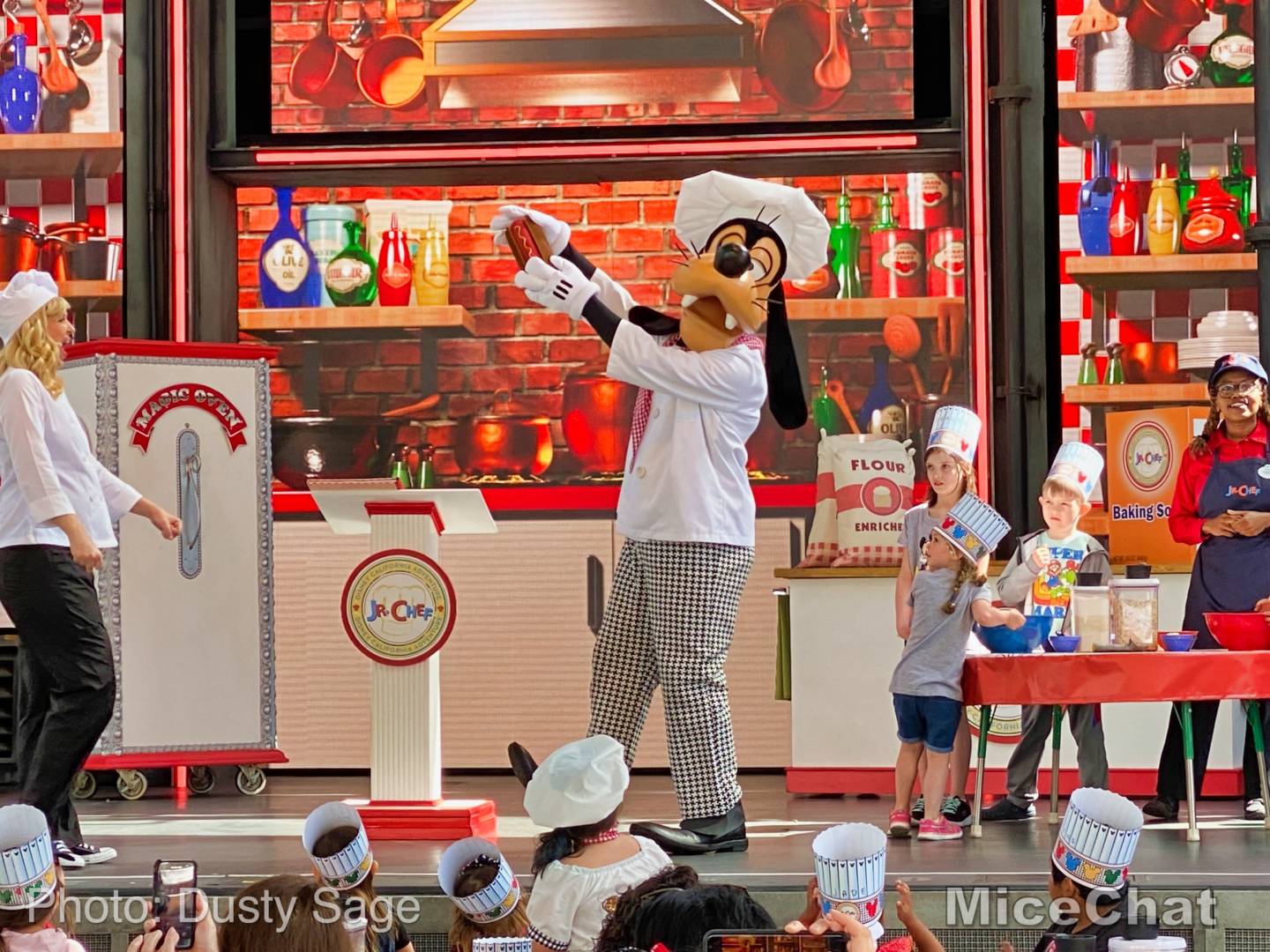 , Disneyland Update – Spring Fling and Virus Things