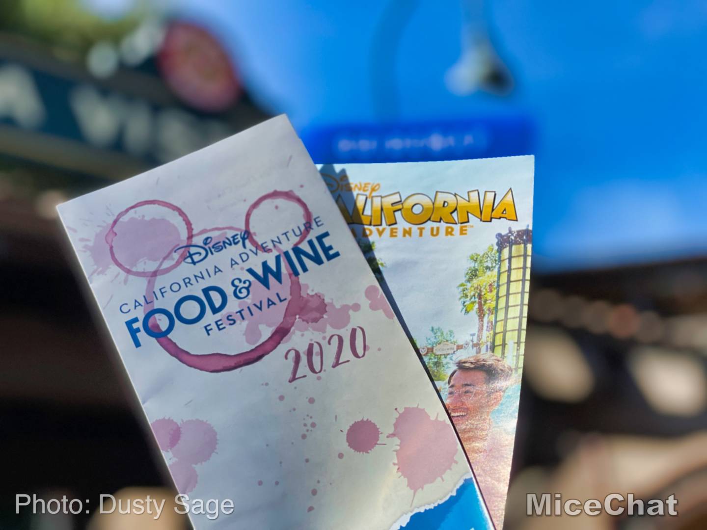, Disneyland Update – Spring Fling and Virus Things