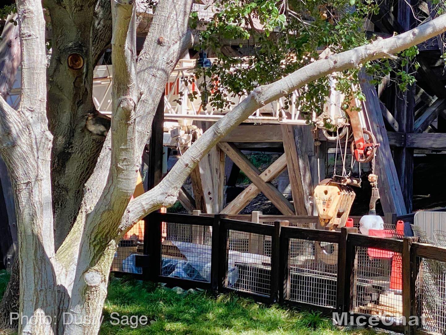 , Disneyland Update – Spring Fling and Virus Things
