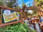 Disneyland-news-dca-spring-redwood-wide