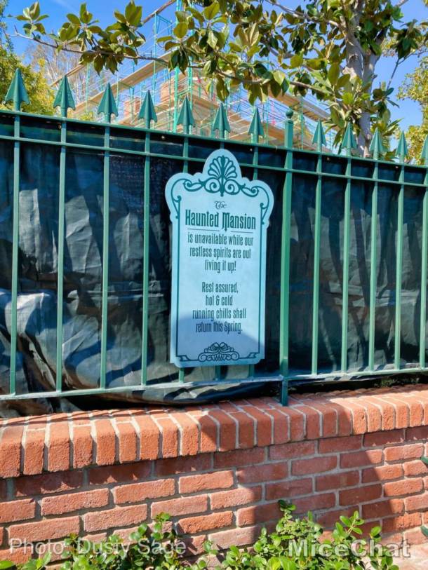 , Disneyland Update – Spring Fling and Virus Things