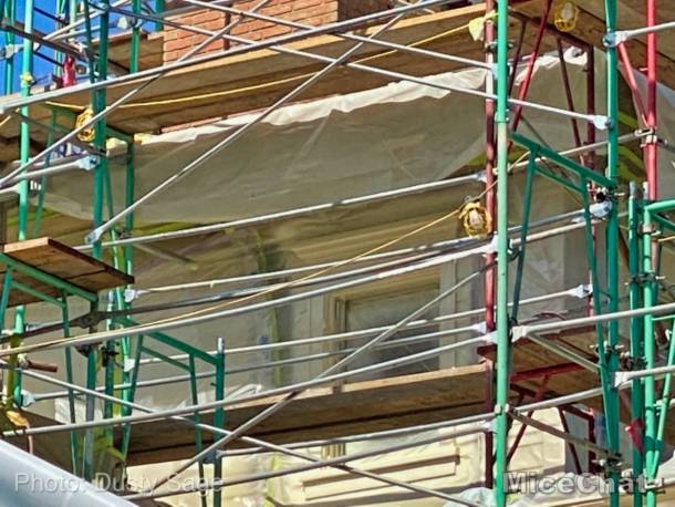 , Disneyland Update – Spring Fling and Virus Things