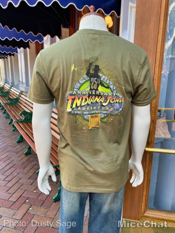 , Disneyland Update – Spring Fling and Virus Things