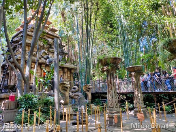 , Disneyland Update – Spring Fling and Virus Things