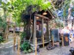Disneyland-news-indy-queue-generator