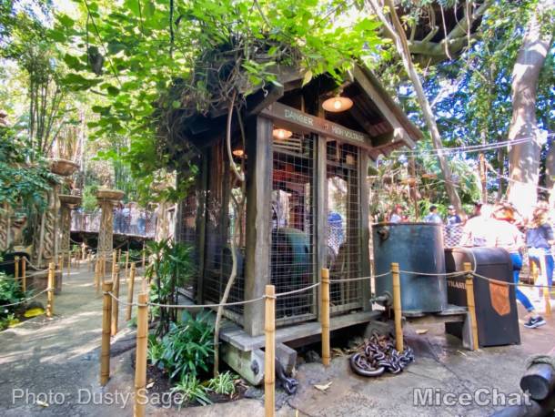 , Disneyland Update – Spring Fling and Virus Things