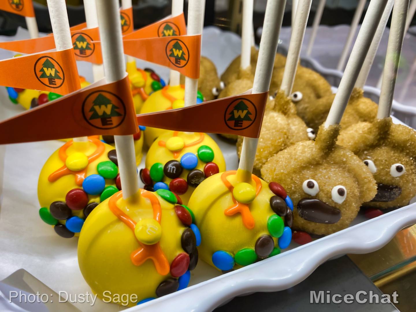 , Disneyland Update – Spring Fling and Virus Things