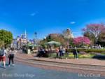 Disneyland-news-spring-crowds-hub-3