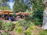Disneyland-news-spring-dca-airfield-coral-bells