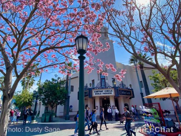 , Disneyland Update – Spring Fling and Virus Things
