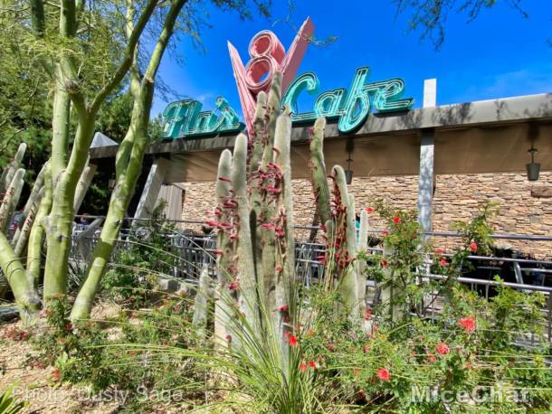 , Disneyland Update – Spring Fling and Virus Things