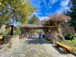 Disneyland-news-spring-dca-wisteria-wide