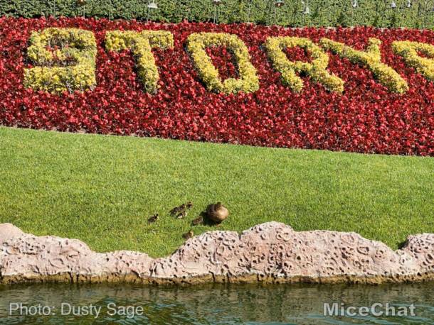 , Disneyland Update – Spring Fling and Virus Things