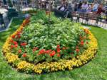 Disneyland-news-spring-gardens-town-square-2