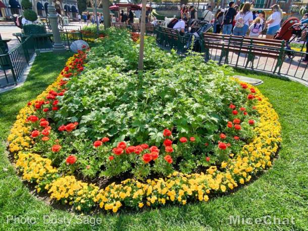 , Disneyland Update – Spring Fling and Virus Things