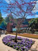 Disneyland-news-spring-grand-cal-pink-purple