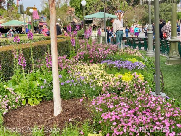 , Disneyland Update – Spring Fling and Virus Things
