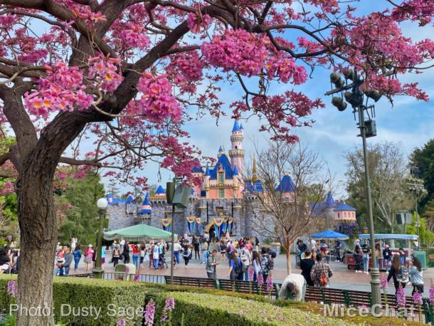 , Disneyland Update – Spring Fling and Virus Things
