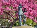 Disneyland-news-spring-hub-walt-mickey-statue-pink-trees-2