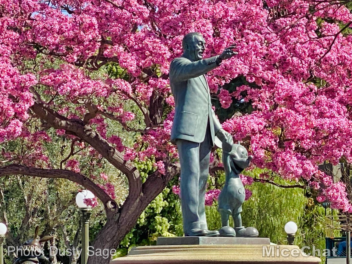 , Disneyland Update – It’s a Small Holiday After All