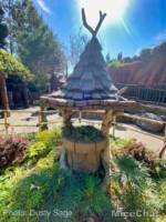 Disneyland-news-spring-splash-wishingwell-1