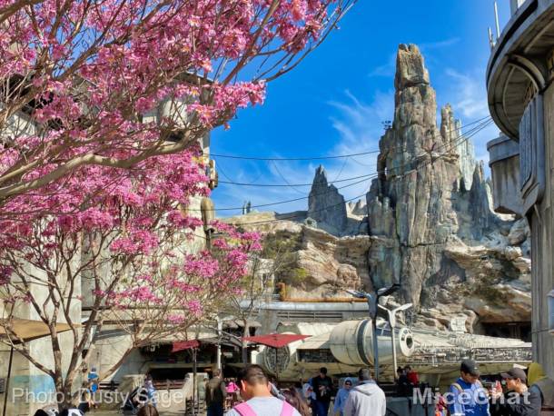 , Disneyland Update – Spring Fling and Virus Things