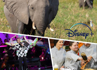 Everything Coming to Disney+ in April! Disney Plus April Titles