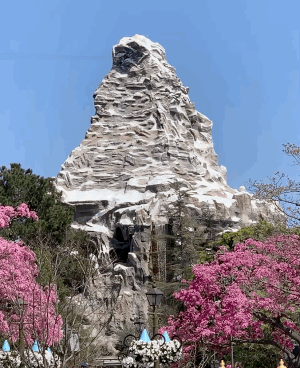 , Disneyland Update – The Painful Afterglow