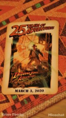 , Disneyland Update – Spring Fling and Virus Things