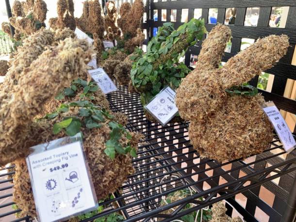 Epcot Flower and Garden, EPCOT Blooms Again for Flower & Garden Festival 2020!