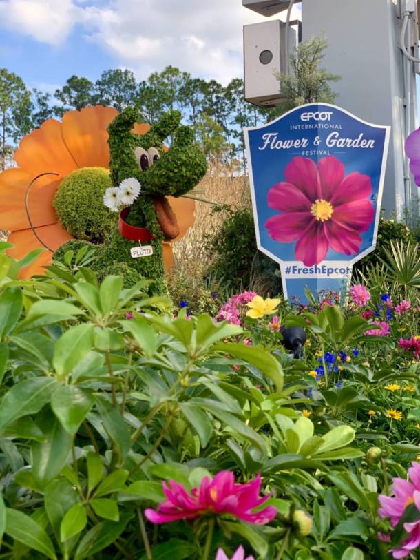 Epcot Flower and Garden, EPCOT Blooms Again for Flower &#038; Garden Festival 2020!