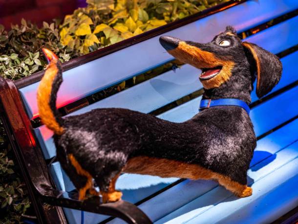 The Secret Life of Pets, Universal Studios Hollywood&#8217;s Secret of Life Pets: Off The Leash an Animatronic Extravaganza