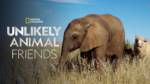 Unlikely Animal Friends National Geographic Disney+ MiceChat