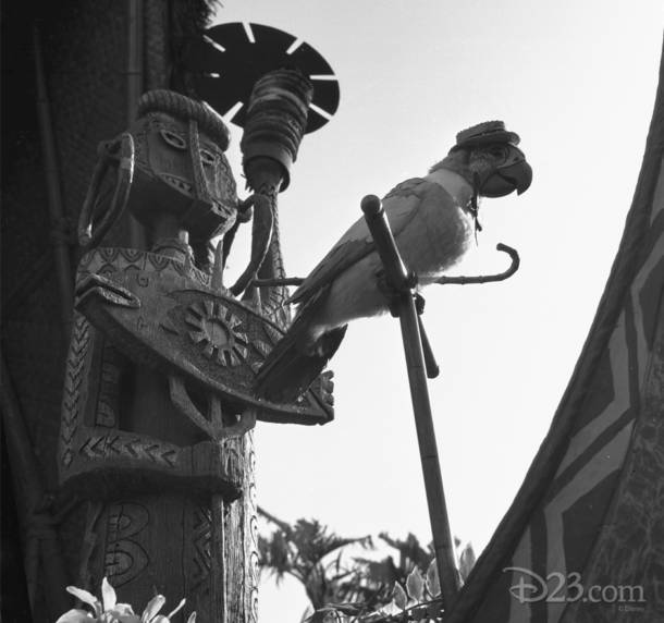 Disneyland Tiki Room Barker Bird