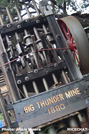 , Disneyland Update – Bob Iger and the Wild Frontier