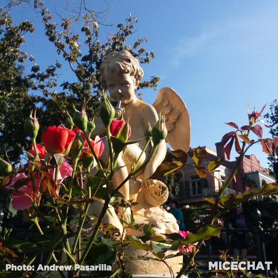 , Disneyland Update – It’s About Time