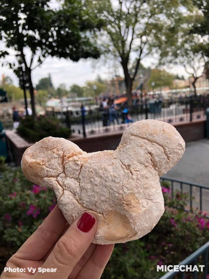 , Disneyland Update Gets High – Above the Parks & When They Could Reopen