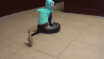 Cat Riding a Roomba Funny