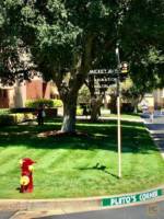 Disney-Studios-Sign-plutos-corner